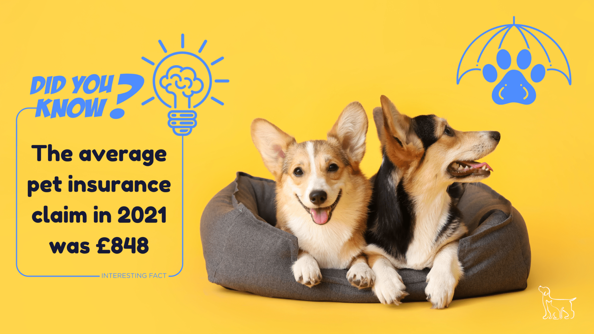 Pet Insurance Warren House Veterinary Centre