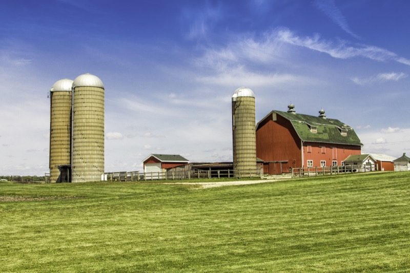 Farm & Ranch Warren Reed