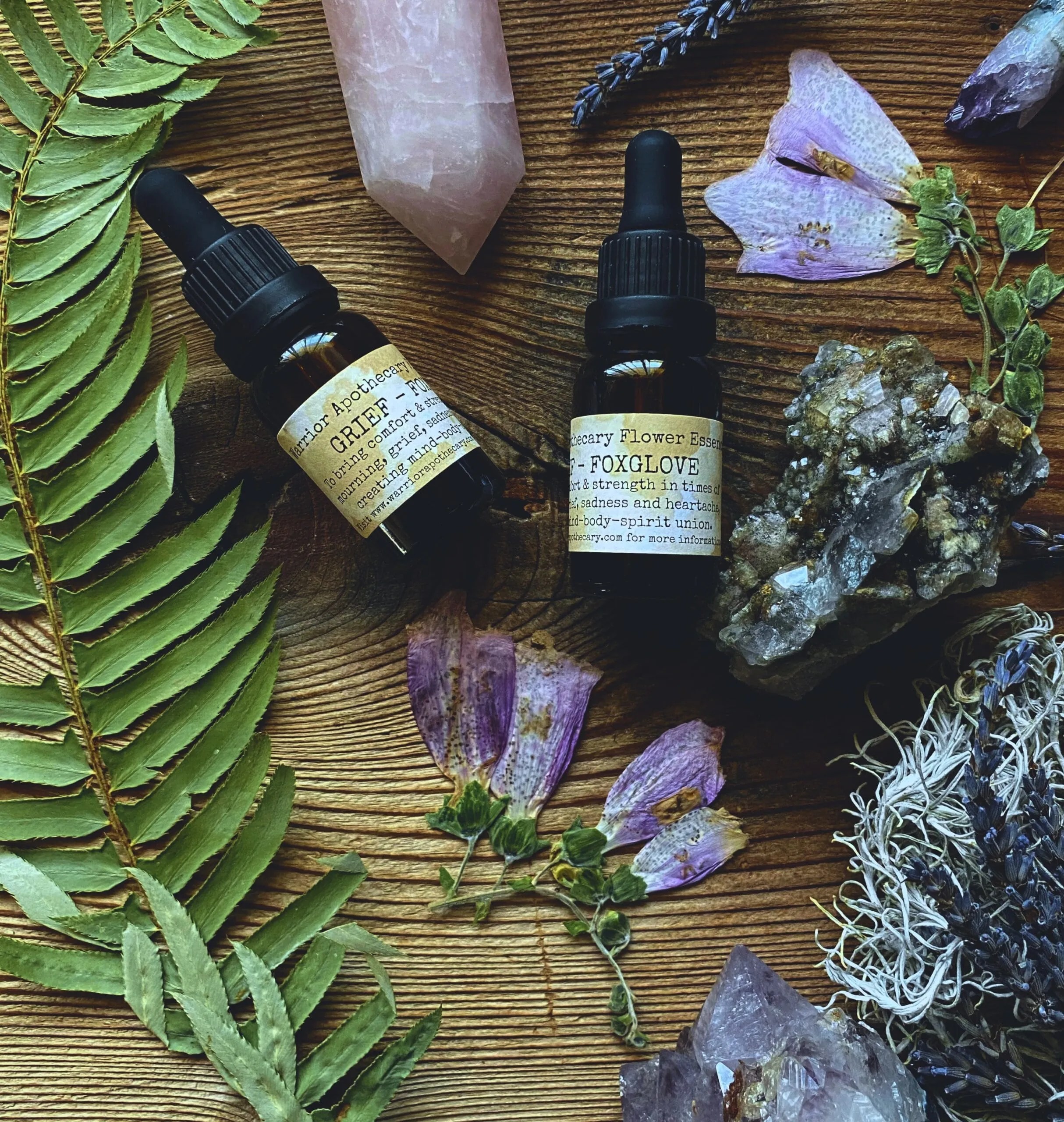 Foxglove Flower Essence Grief Warrior Apothecary