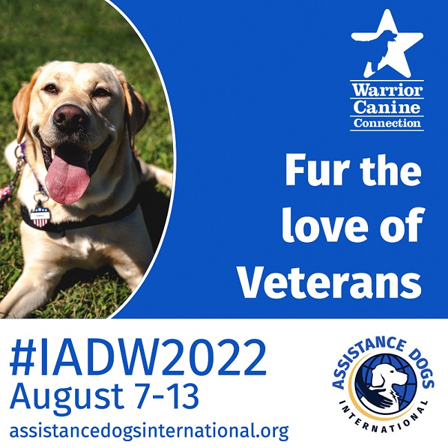 International Assistance Dog Week is August 713 Warrior Canine