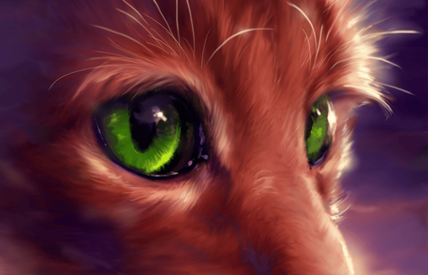 Squirrelflight Warrior Cats