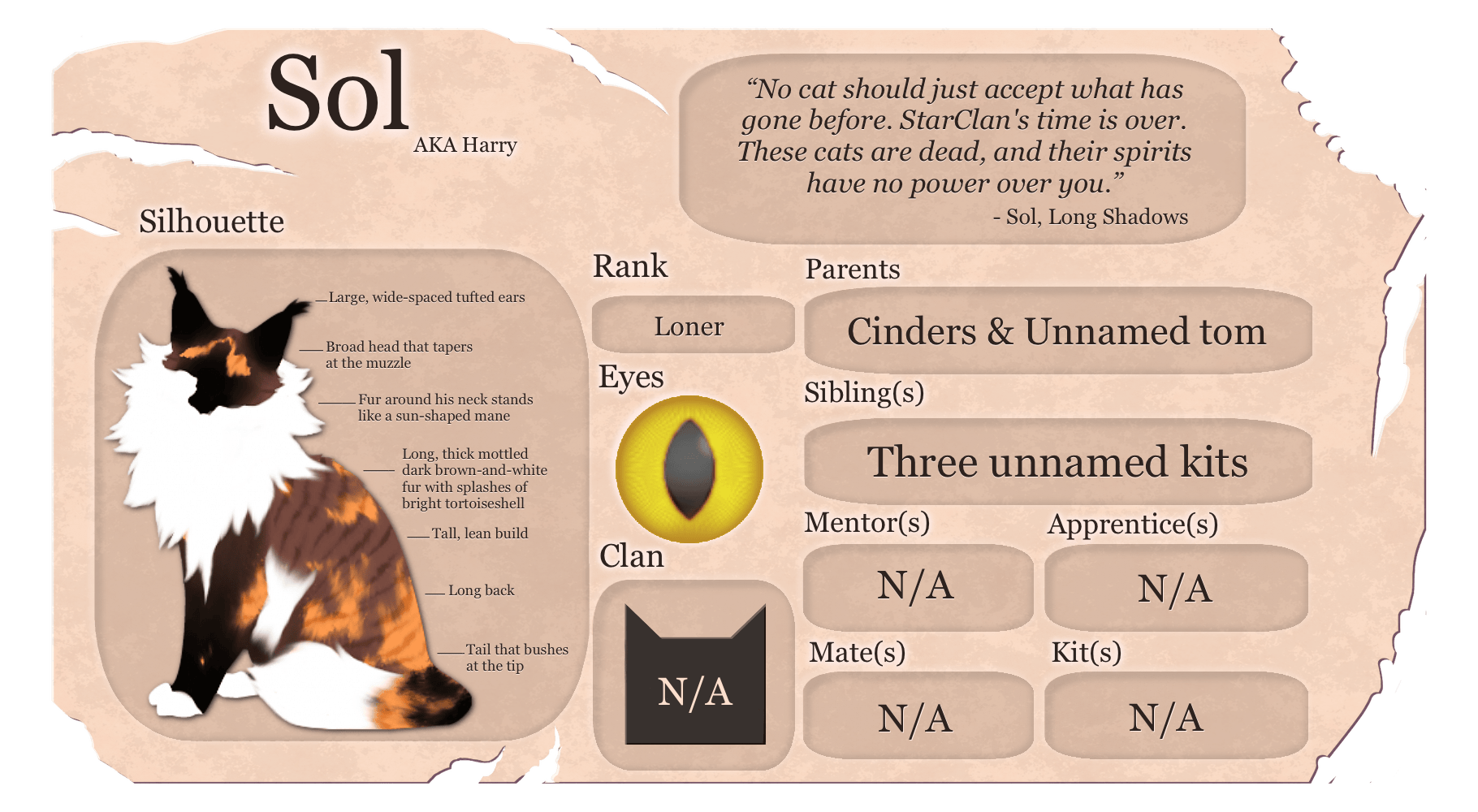 Power of Three written and visual guide Warrior Cats