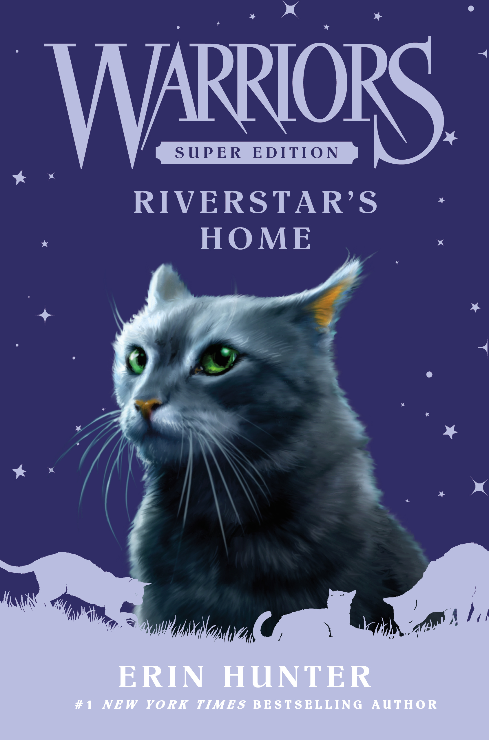 Books Warrior Cats