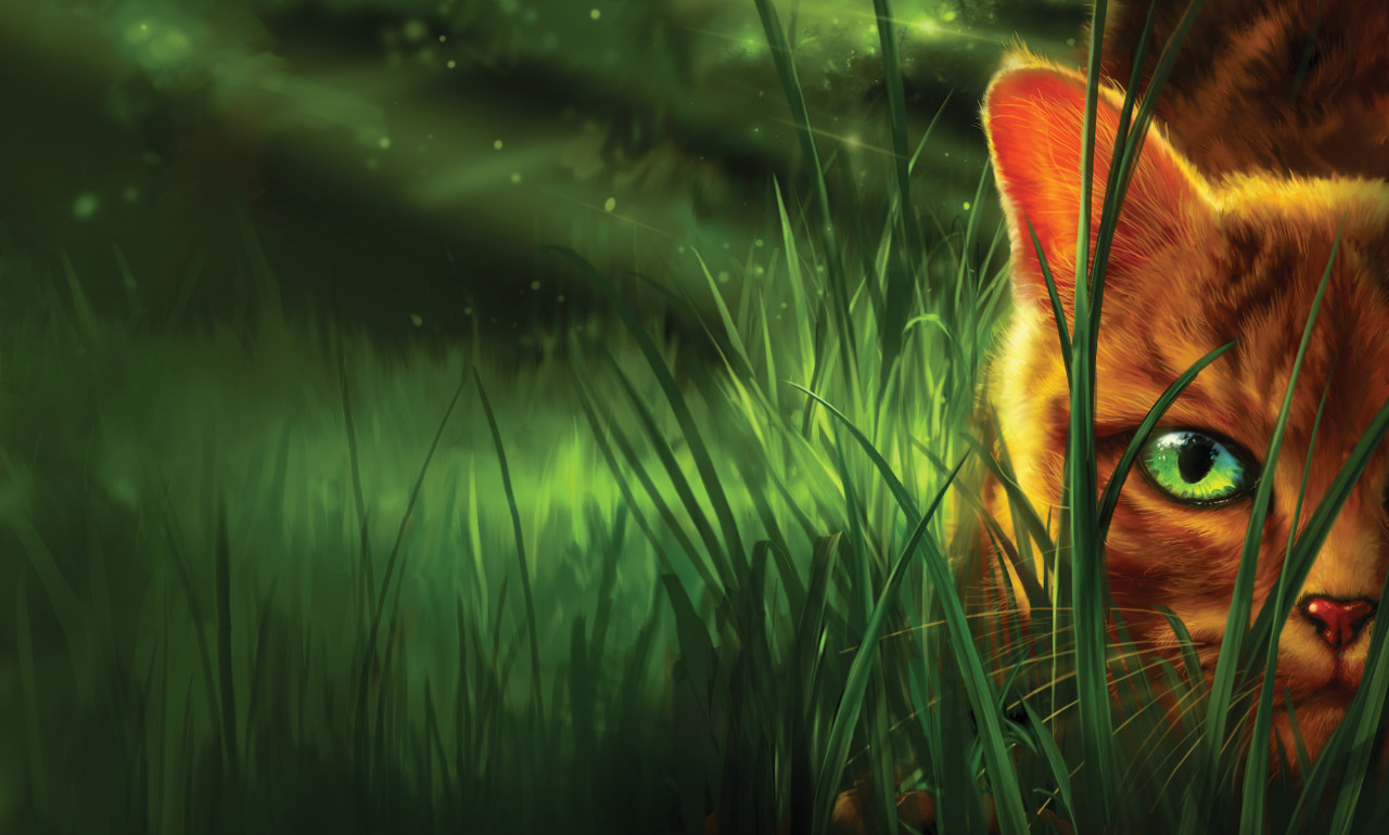 Firestar Warrior Cats