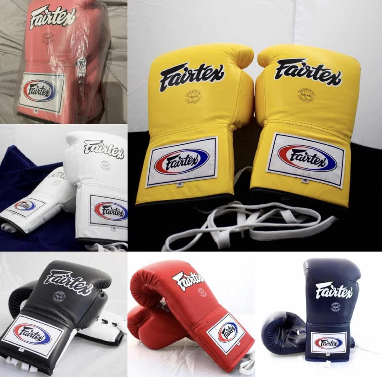 Fairtex Boxing Gloves Warriors TMA Academy