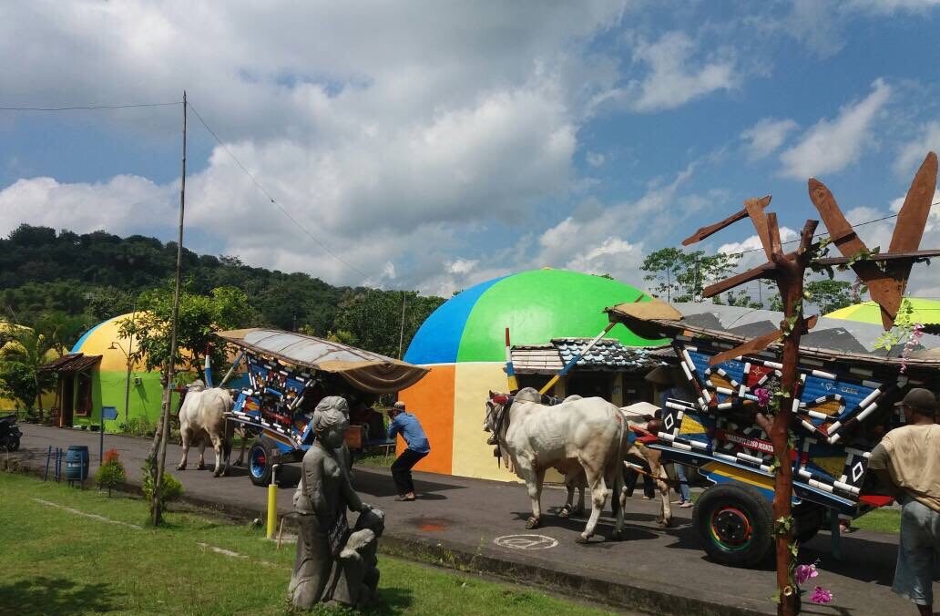 Gerobak Sapi Wisata Meriahkan Libur Lebaran di Rumah Domes Teletubies