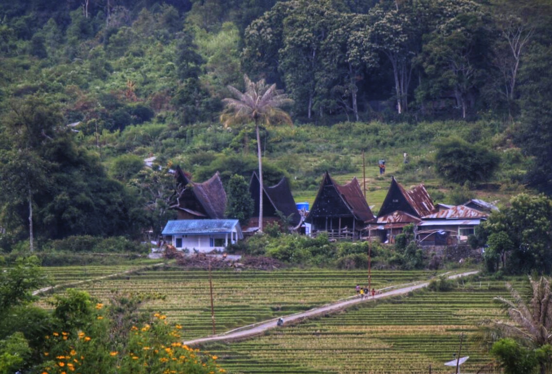 Toba Dream di Bawah Bukit Meat
