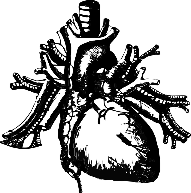 Dilatation