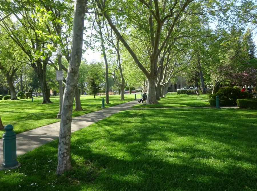 Explore Sonoma County Real Estate Warwick Properties Group