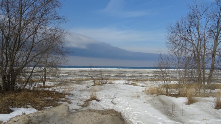 Week of January 21st, 2018 Wasaga Beach 365