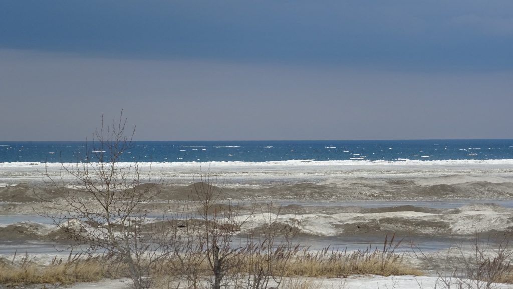 2018 01 January walks Wasaga Beach 365