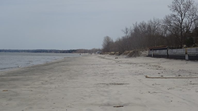 Week of March 28th, 2021 Wasaga Beach 365