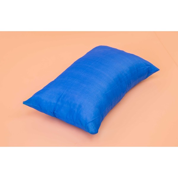SPONGE PILLOW/BLUE