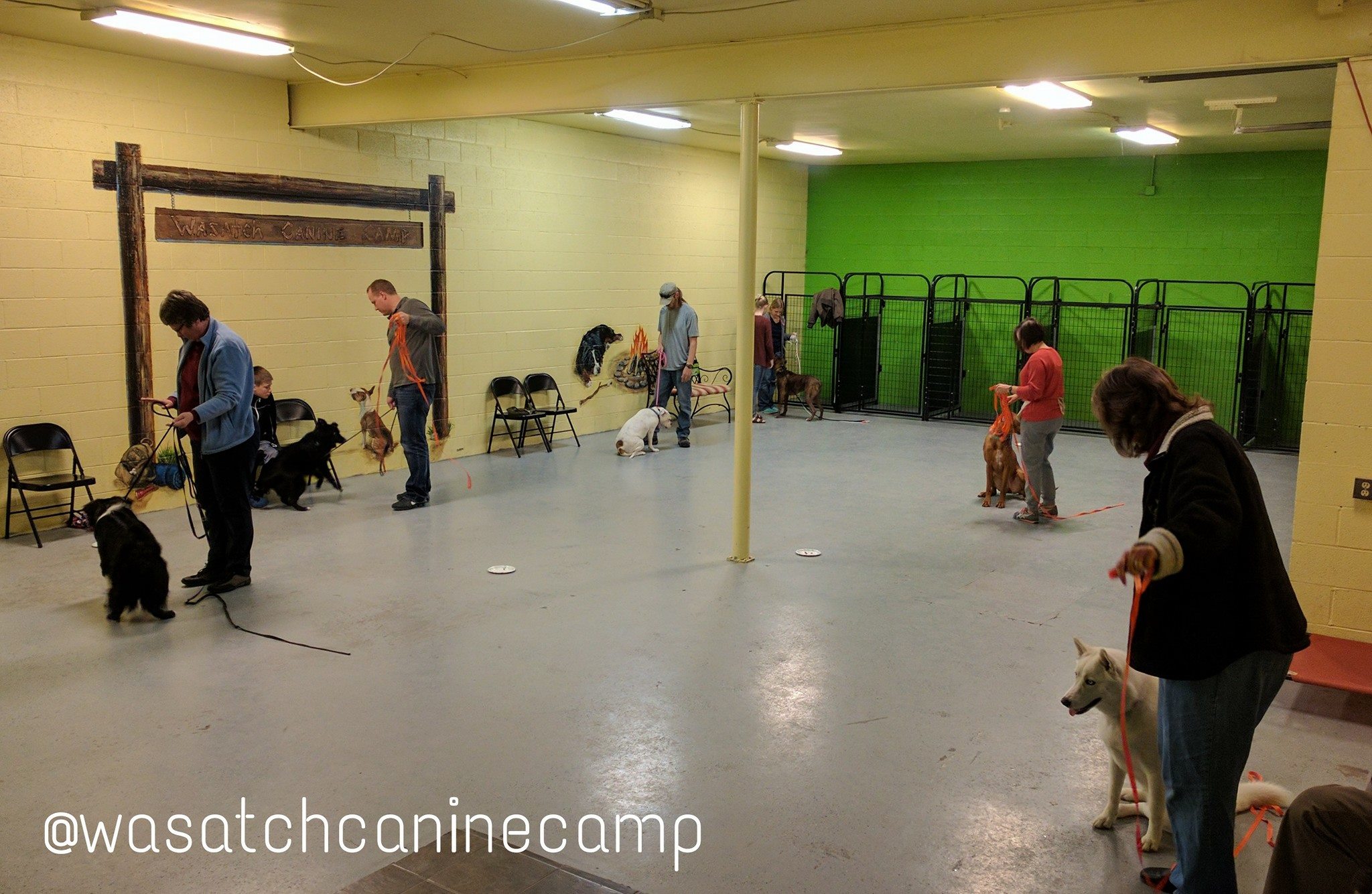 Group Obedience Dog Training Utah Wasatch Canine Camp