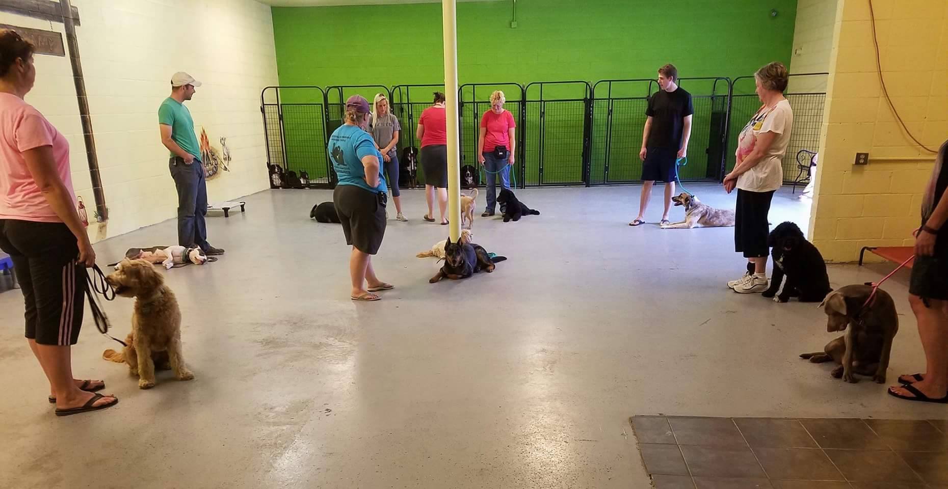 Group Obedience Dog Training Utah Wasatch Canine Camp