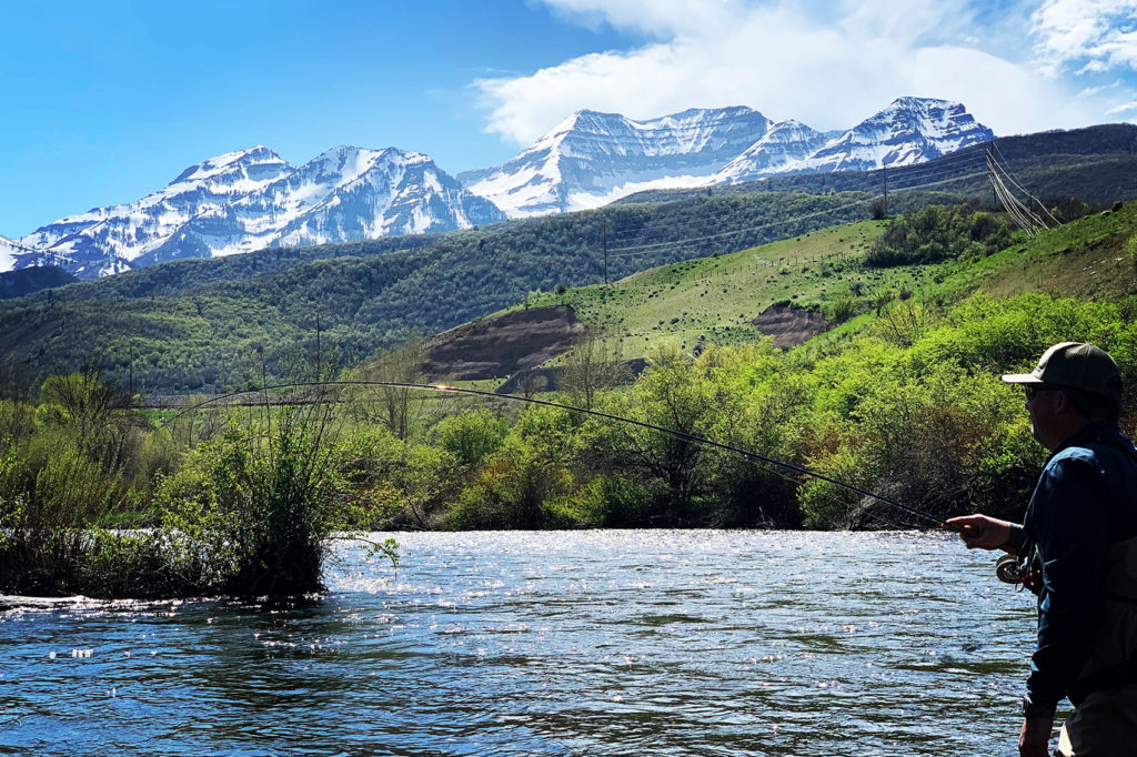 Utah's Elite Fly Fishing Guide Service & Outfitter Fish The Provo