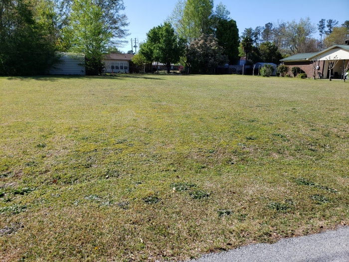 Wasden Realty Residential, Commercial, Farms, & Investment Properties