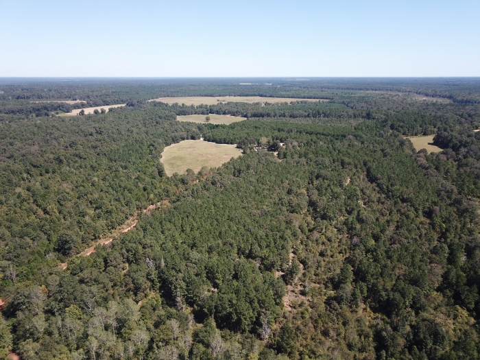 Wasden Realty Residential, Commercial, Farms, & Investment Properties