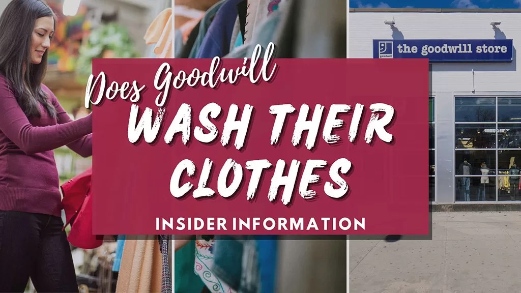 Does Goodwill Wash Their Clothes? Everything You Need to Know!
