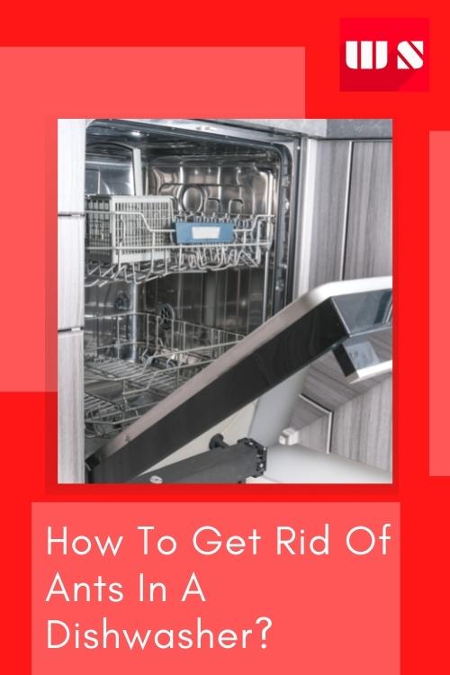 How To Get Rid Of Ants In A Dishwasher? (5 Steps Guide)