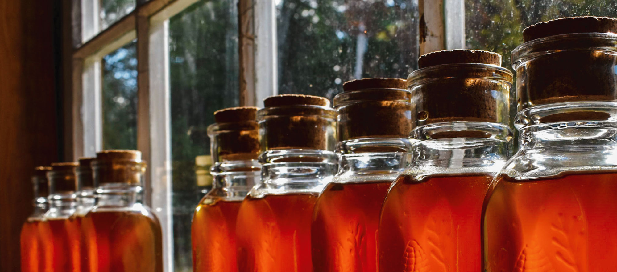 Argyle New York Washington County Tourism