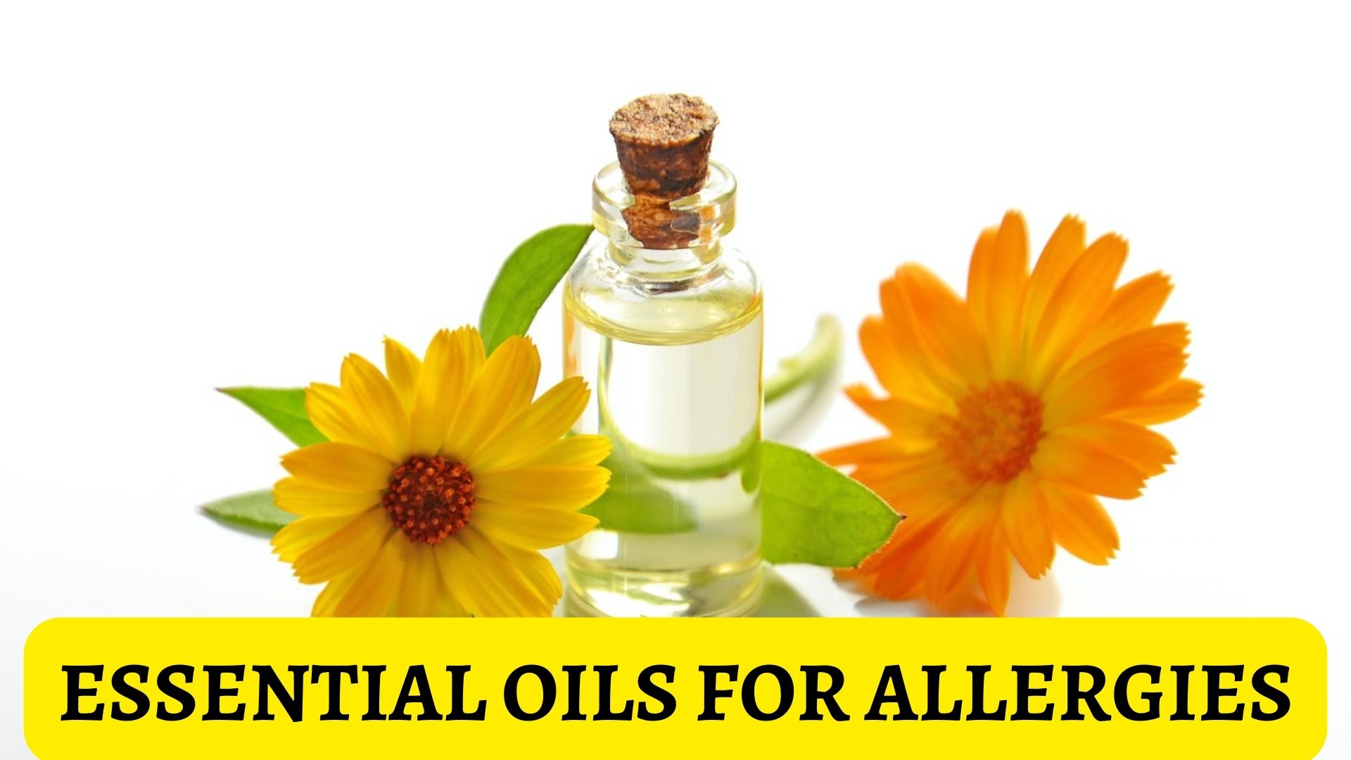 Essential Oils For Allergies Best Way To Tackle Most Allergic Reactions
