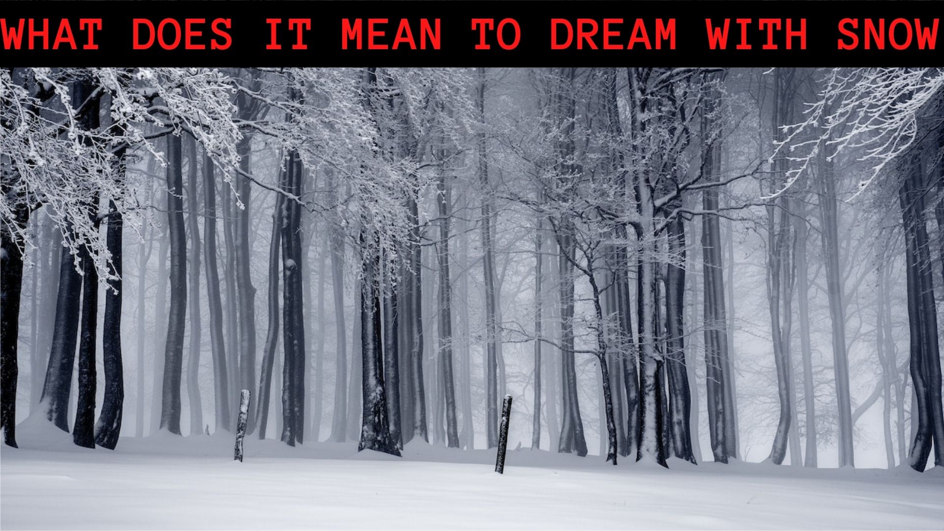 What Does It Mean To Dream With Snow? Signifies Progress, Happiness