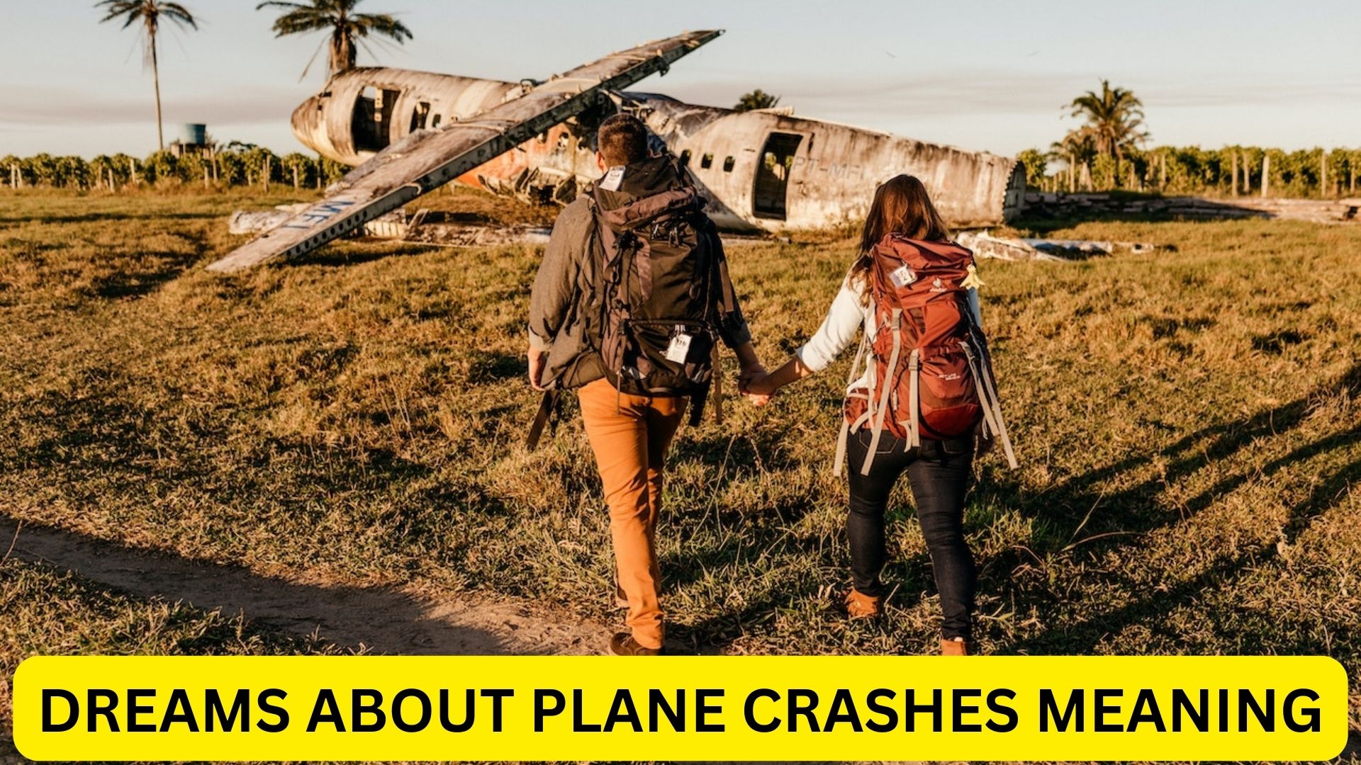 Dreams About Plane Crashes Meaning Symbolic Of Emotional Volatility