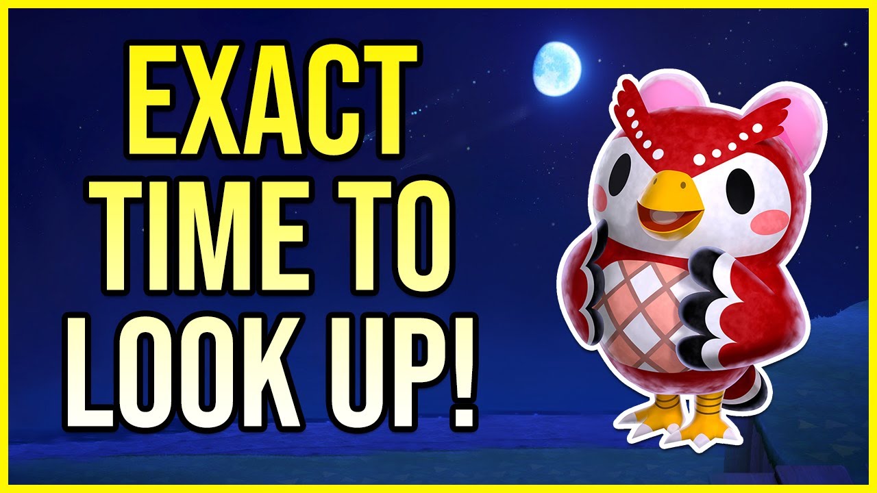 MeteoNook Your Ultimate Tool For Predicting Weather In Animal Crossing