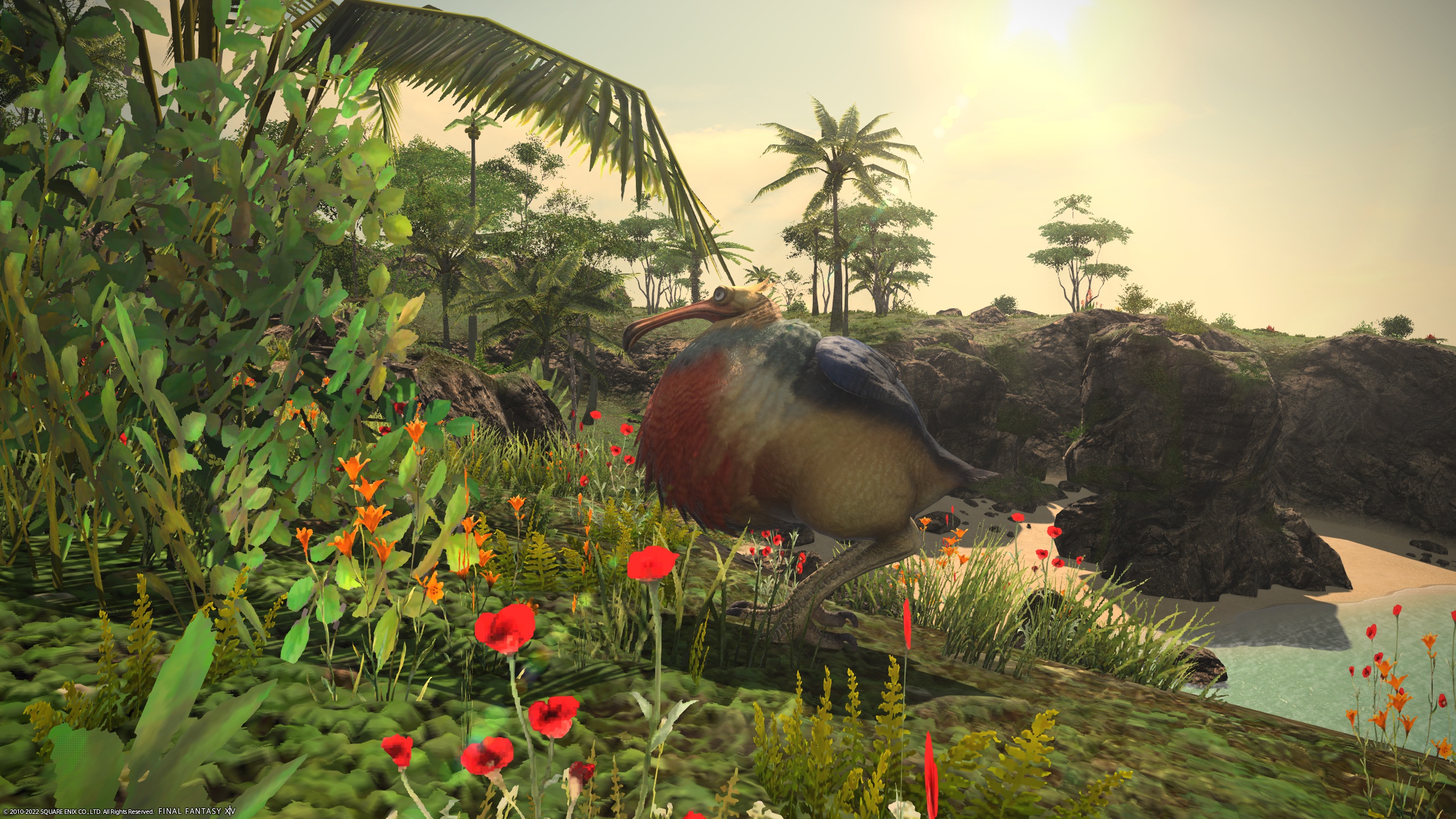 Dodo Feathers FFXIV A Guide To Farming And Using This FFXIV Crafting