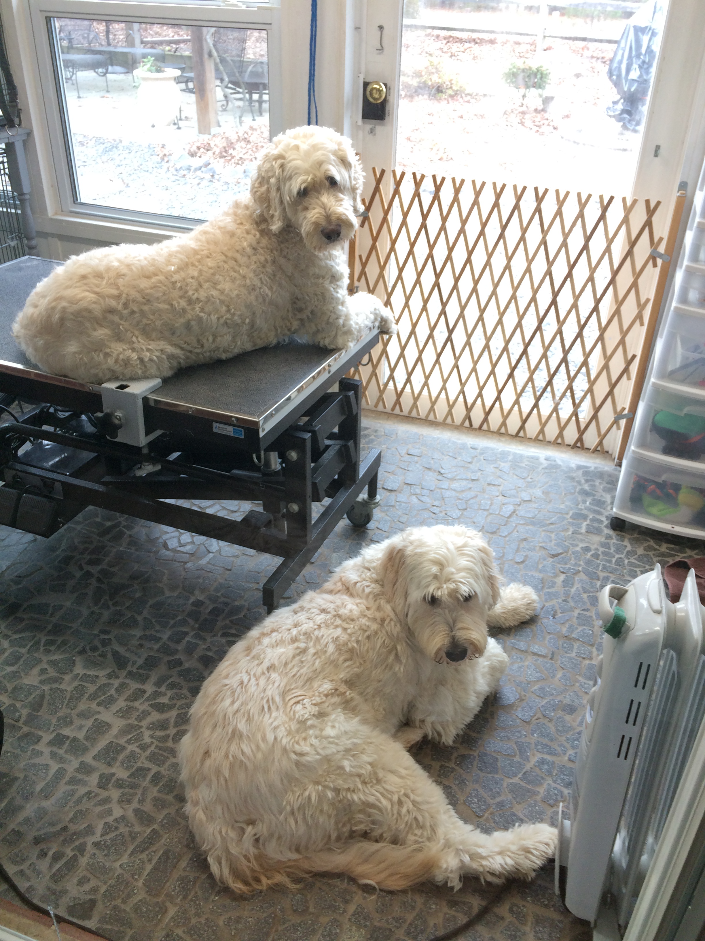 Wash & Wag Grooming About Sherri' Wash & Wag Grooming