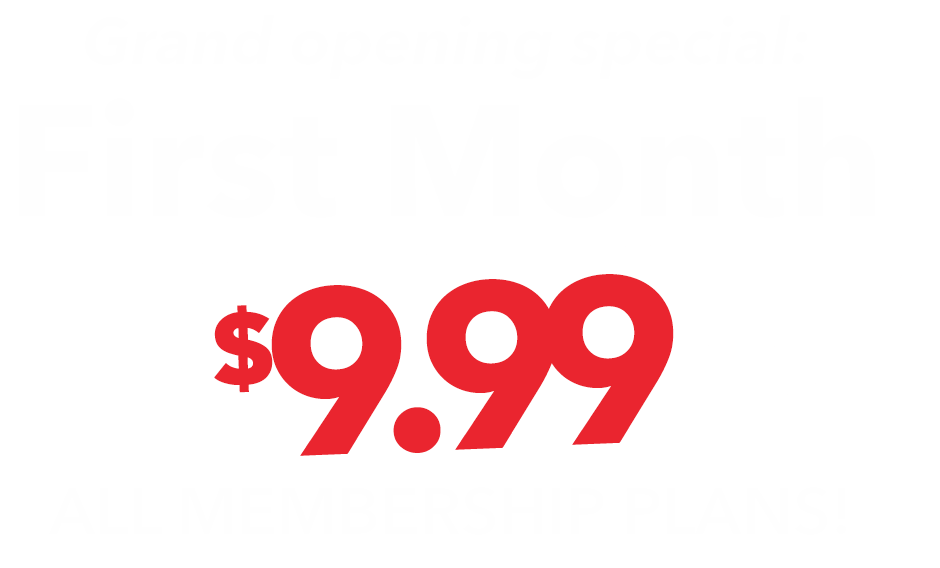 The premier car wash in Middle Tennessee Washtopia Car Wash