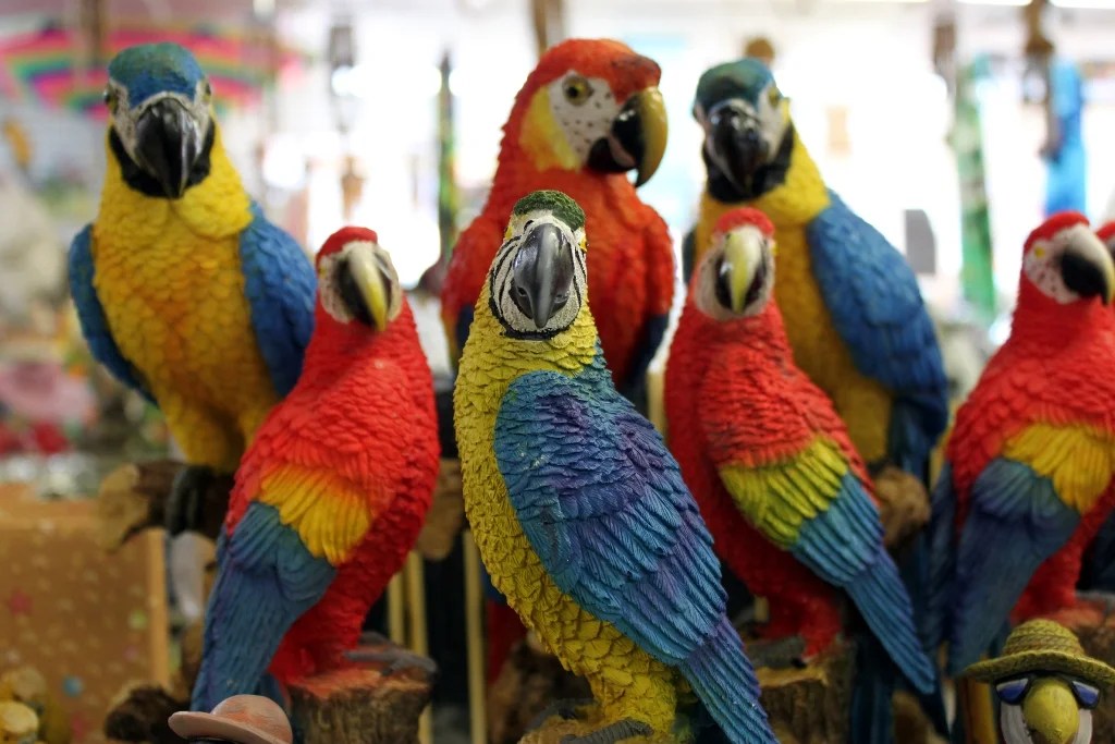 35 Beautiful & Colorful Parrots Wallpaper