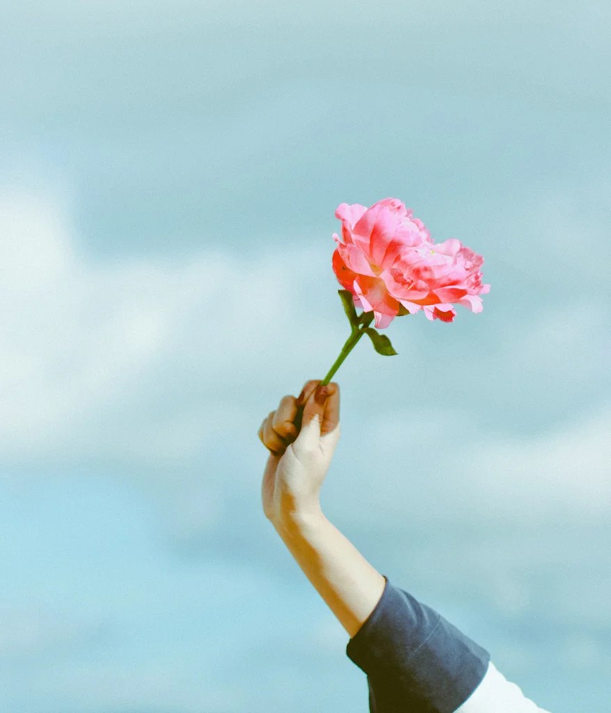 When to Give Flowers to a Friend » Wassup Mate