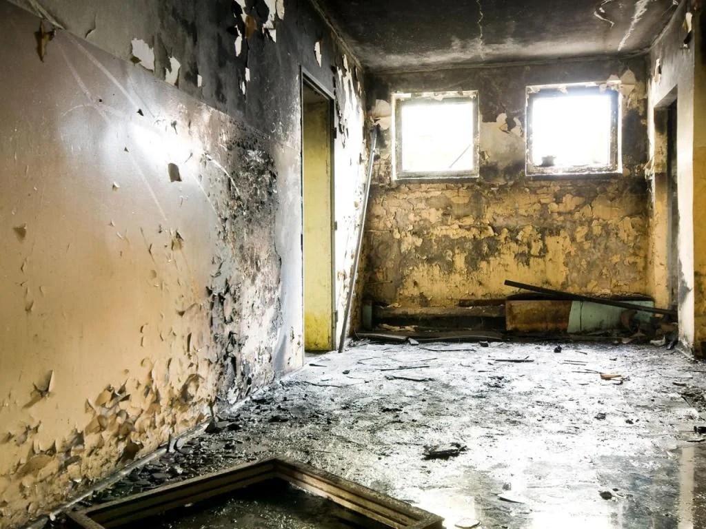 What To Do If You Have Black Mold In Your Walls at Janice Dumas blog