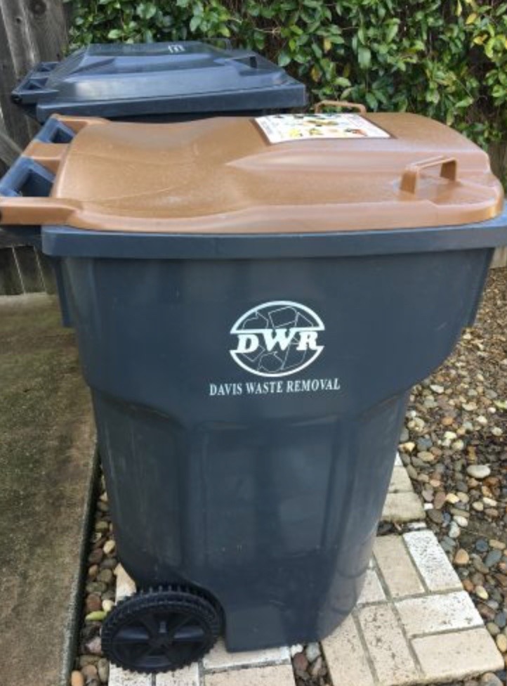 Organic Waste The Brown Bins Are Not the End of the Story Waste