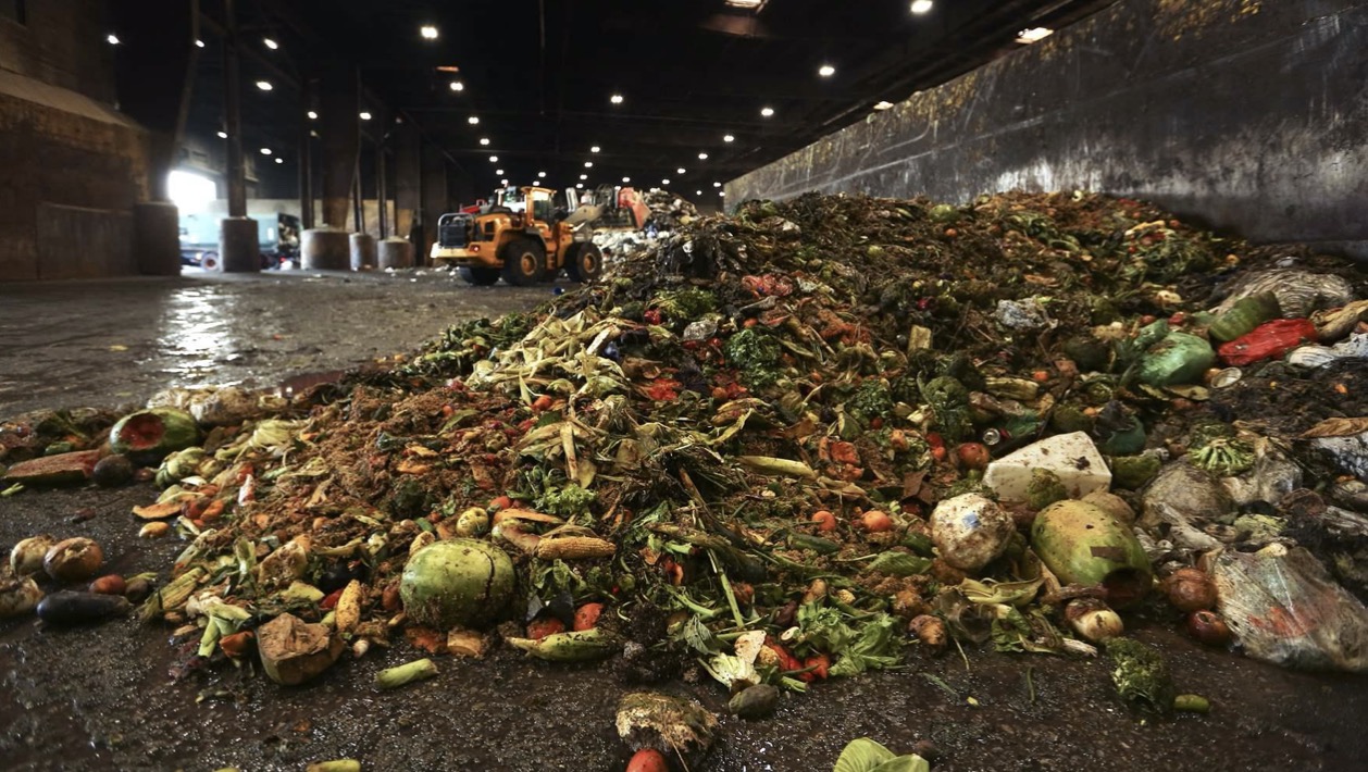 Waste Not? Some States Are Sending Less Food to Landfills Waste