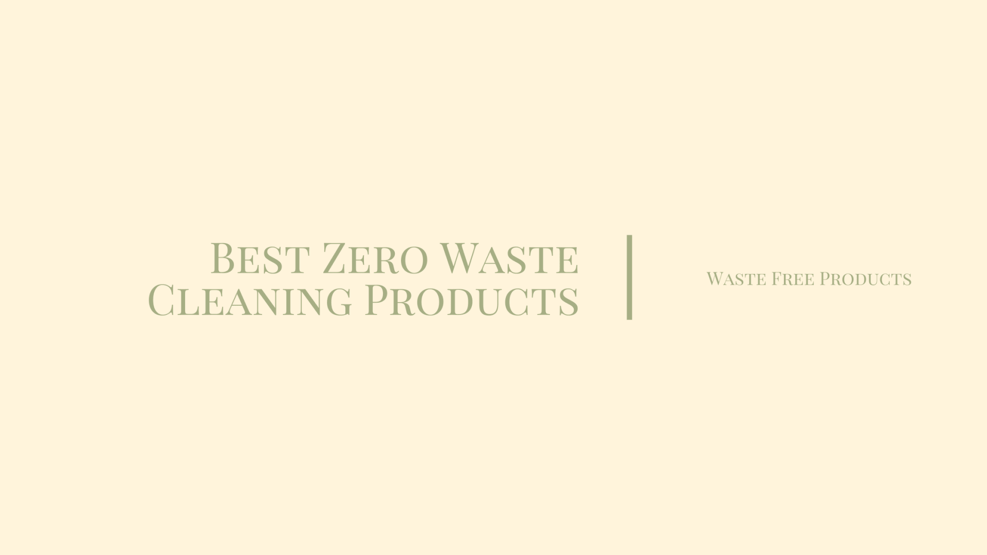 Best Zero Waste Cleaning Products Waste Free Products