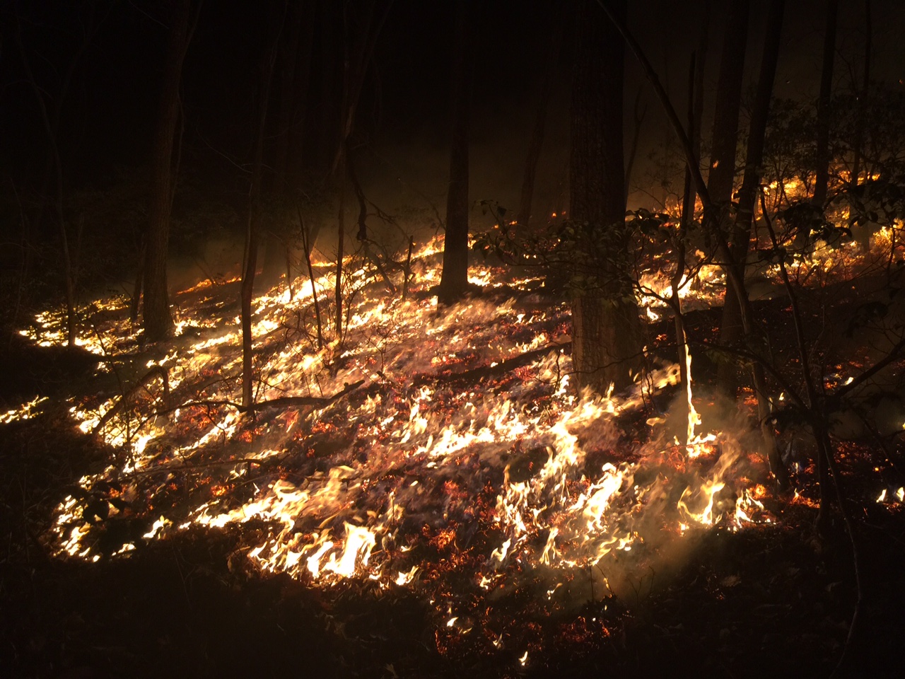 Firefighters Battle Overnight Fire, 30 Acres Burn