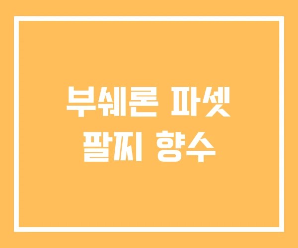 부쉐론 파셋 팔찌 향수