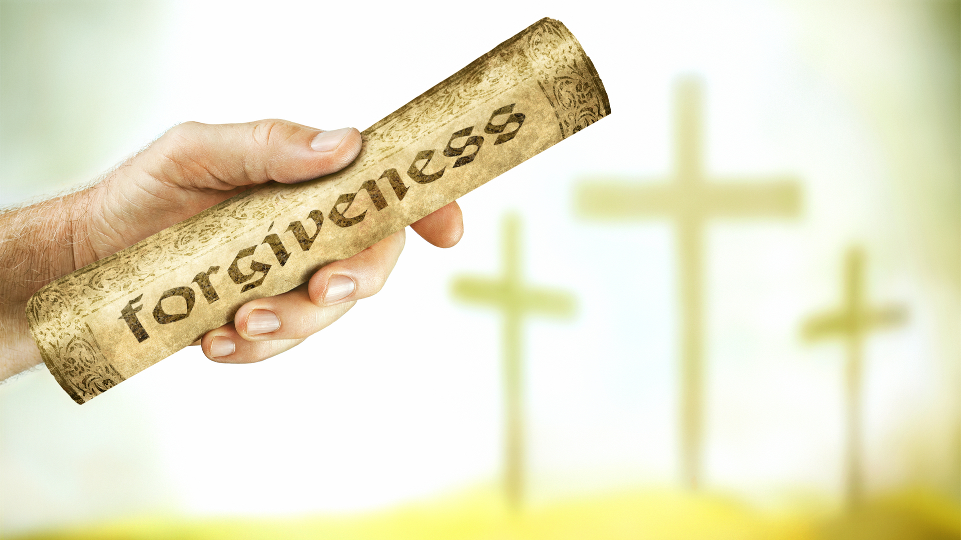 The Color of ⋆ Watch God Work Ministries ⋆