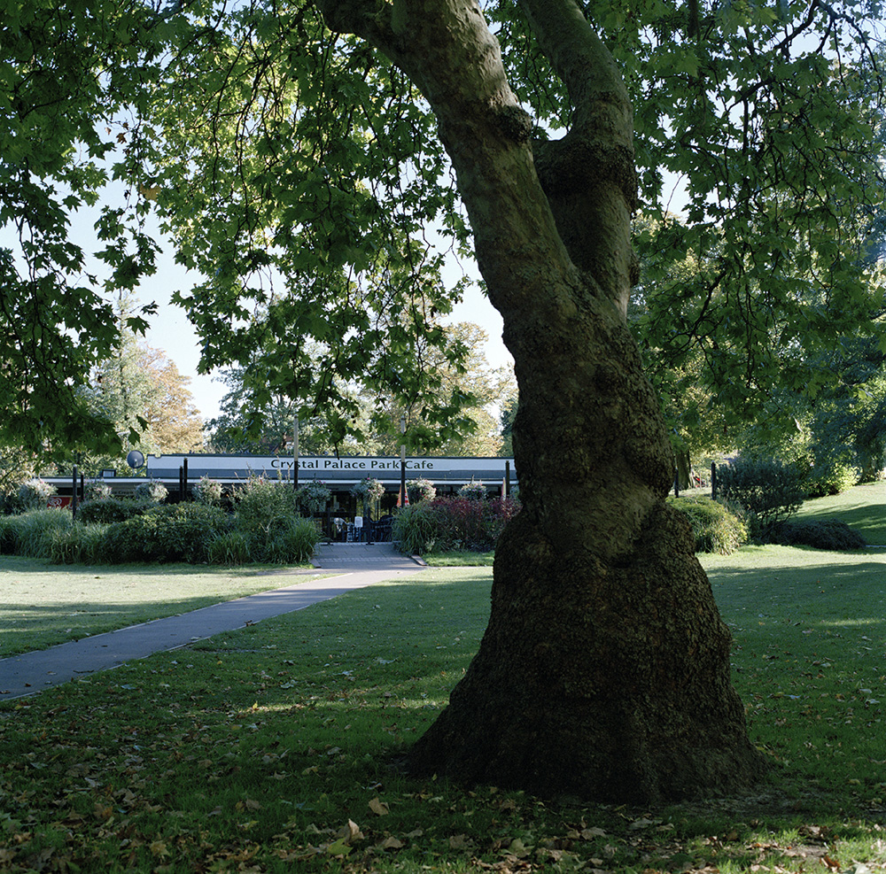 Crystal Palace Park Cafe Watch the birdie…