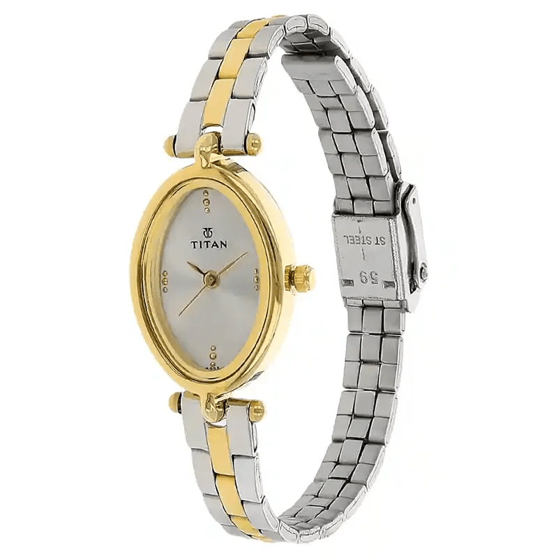 Titan 2418BM01 Silver Dial Twotone Ladies Watch