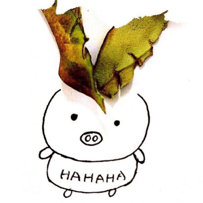 zookeeper python 客户端 kazoo 使用指南(译自官网) Waterandair's Blog