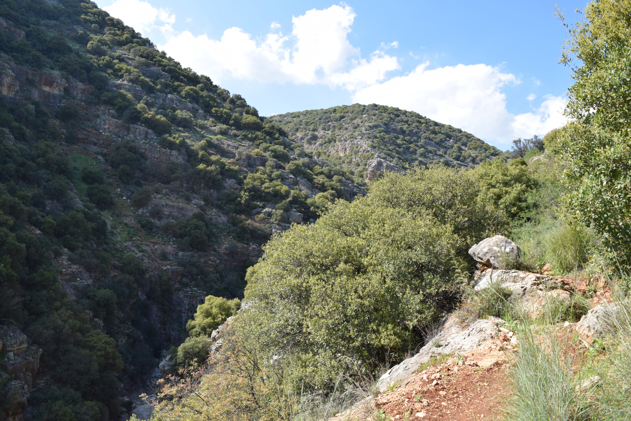 Mount Meron Nature Reserve Water and Wine Tours