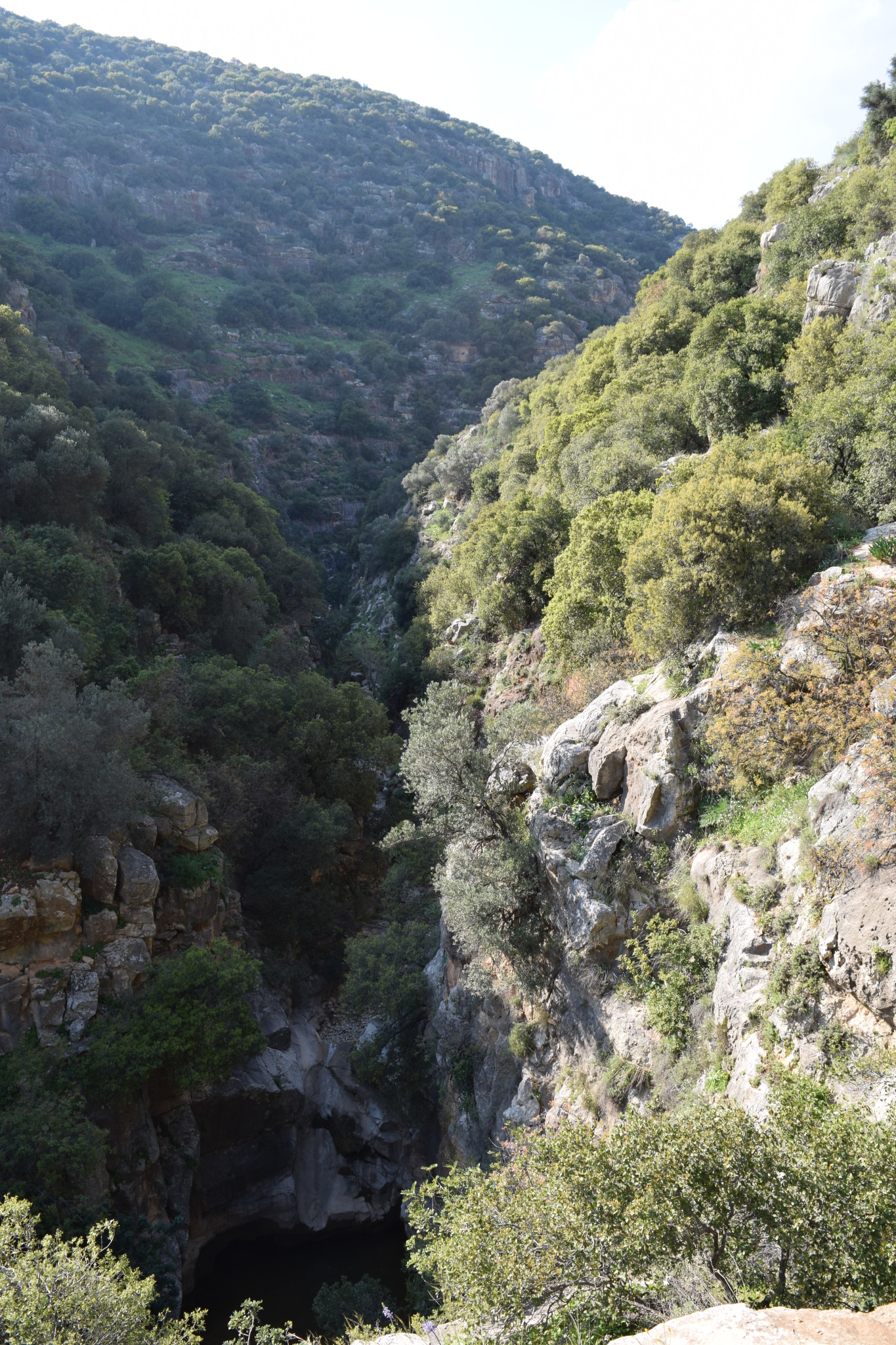 Amud Stream Nature Reserve Water and Wine Tours