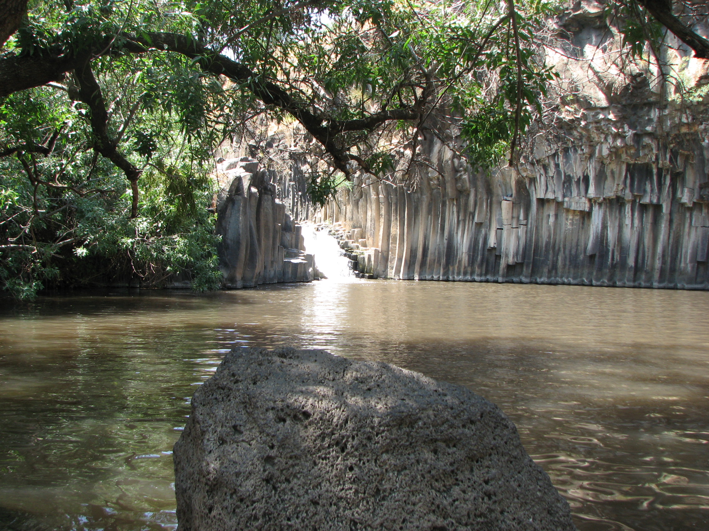 Meshushim Stream, Yehudiya Nature Reserve Water and Wine Tours