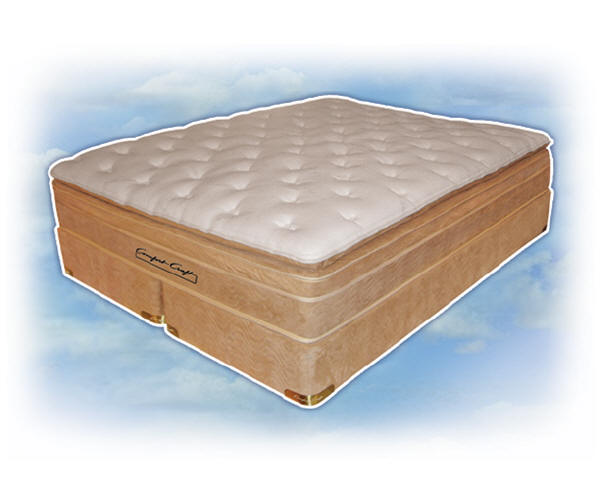 Waterbeds Softside Waterbed Comfort Craft Tampa Fl Semiwaveless Waterbed Mattress Mattresses