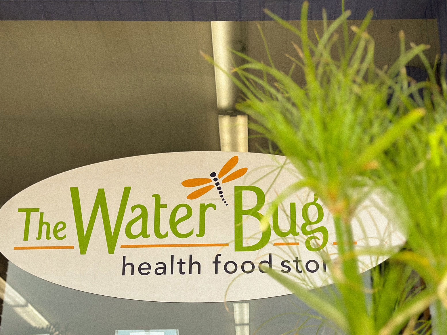 The Water Bug Health Food Store Serving Sarnia / Lambton