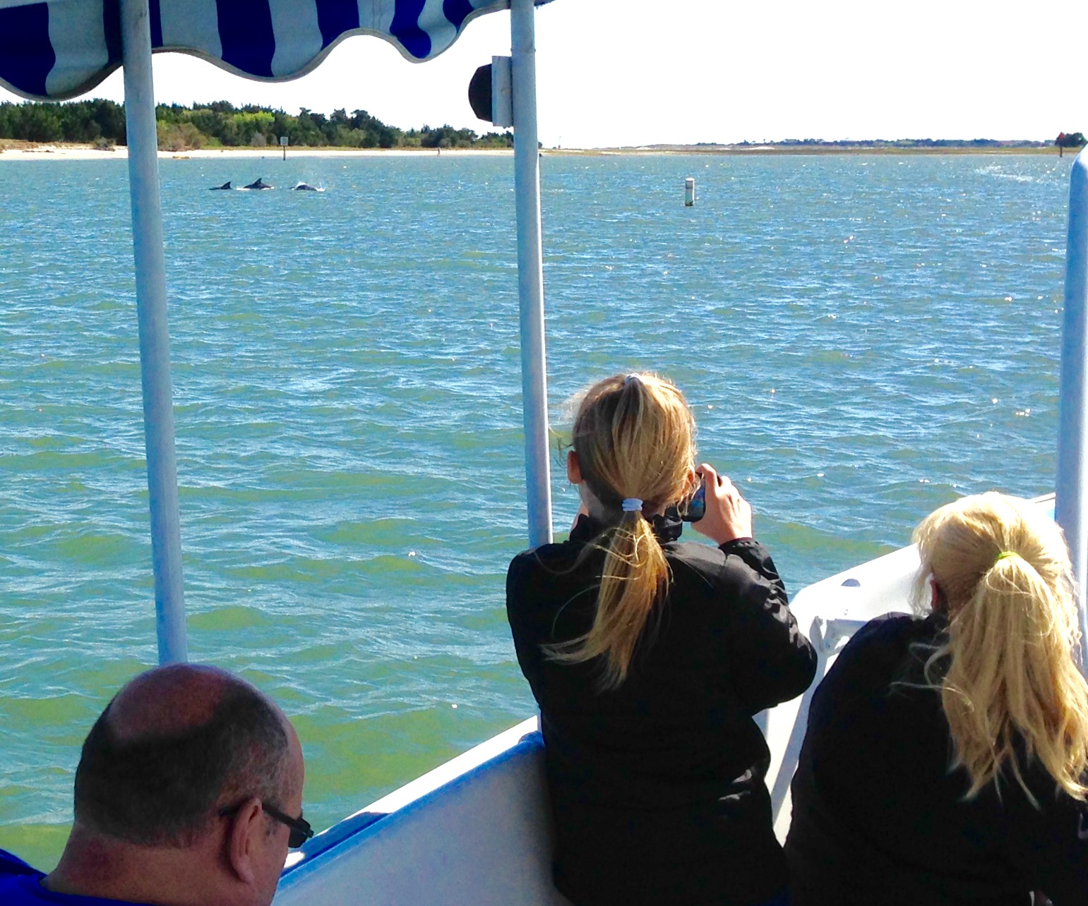 Waterbugtours02 • Waterbug Tours • Old Fashioned Nature Tour • Shaded Wild Horse & Dolphin Boat